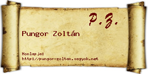 Pungor Zoltán névjegykártya